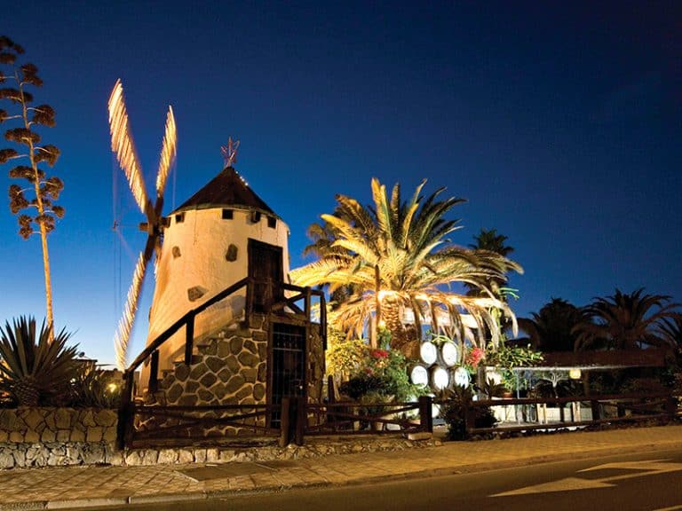 Molina Blanco Image 10 1 768x576