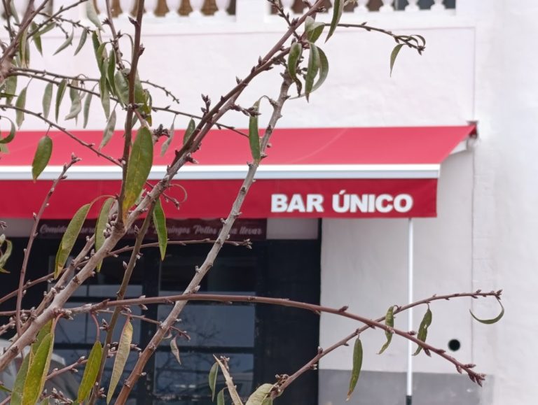Bar Unico Image 5 768x579