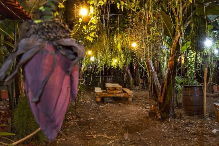 El Cordero Image 12 768x512