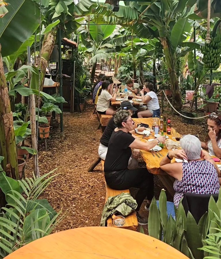 El Cordero Image 3 768x898