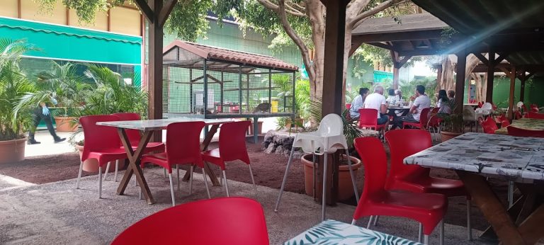 El Rancho De Nino Image 2 768x346