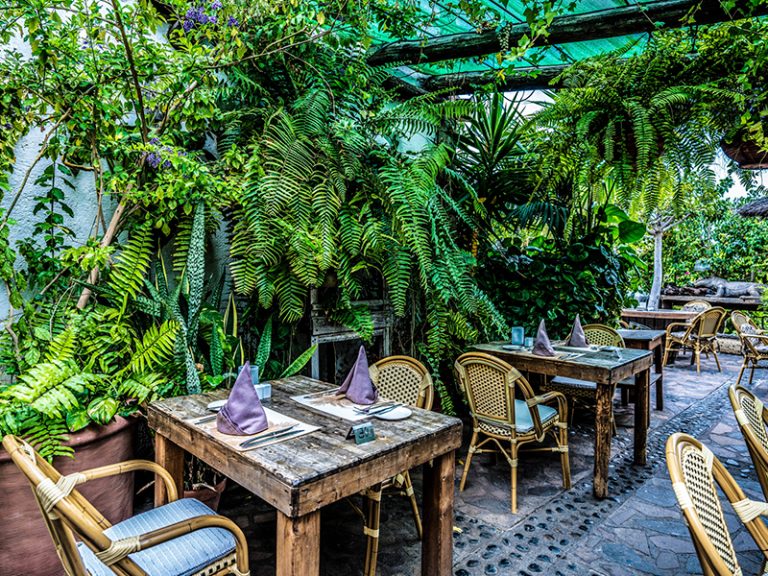 Molina Blanco Image 8 768x576