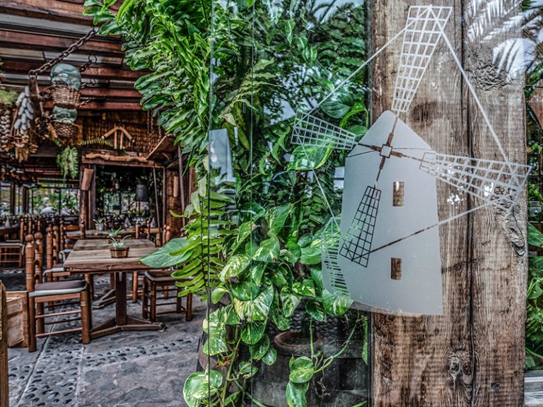 Molina Blanco Image 9 768x576